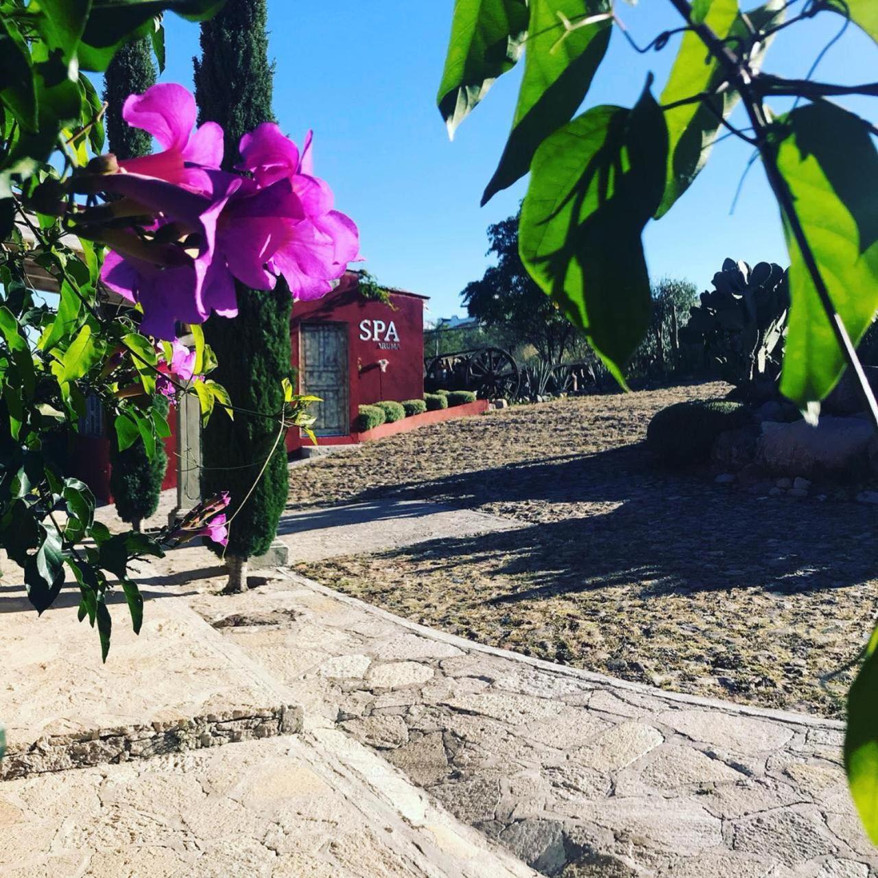 View Hotel Boutique Don Juan Xido De Abajo Zewnętrze zdjęcie